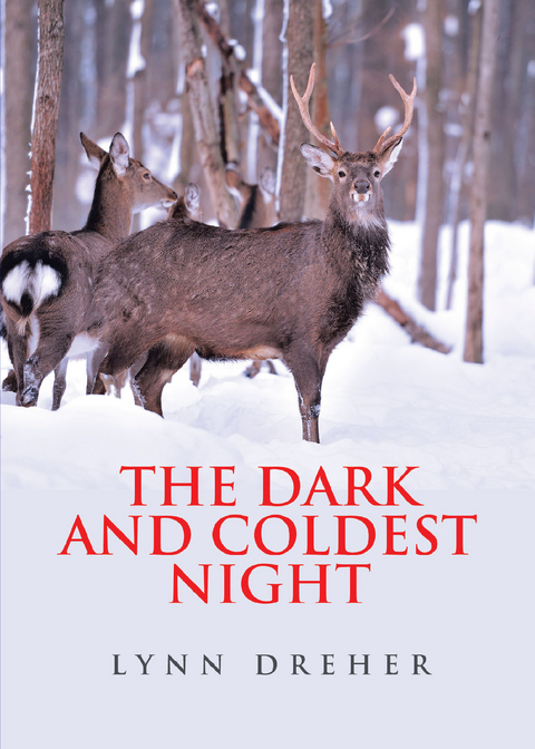 Dark and Coldest Night -  Lynn Dreher