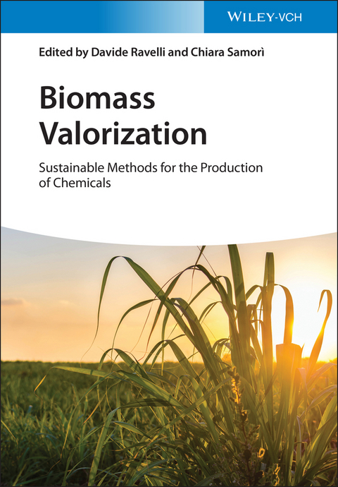 Biomass Valorization - 