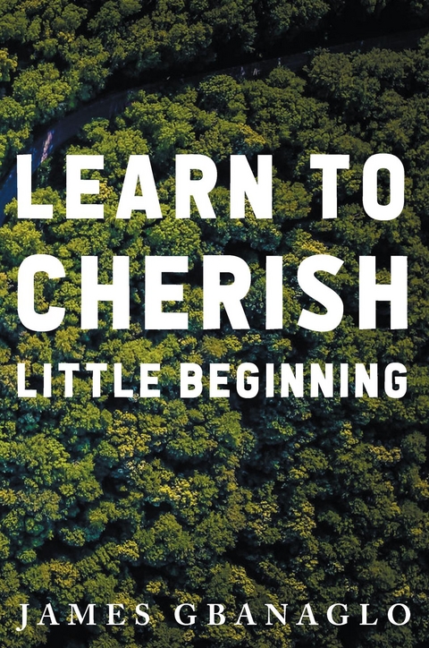 Learn To Cherish Little Beginning - James Gbanaglo