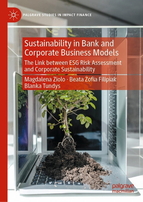 Sustainability in Bank and Corporate Business Models - Magdalena Ziolo, Beata Zoﬁa Filipiak, Blanka Tundys