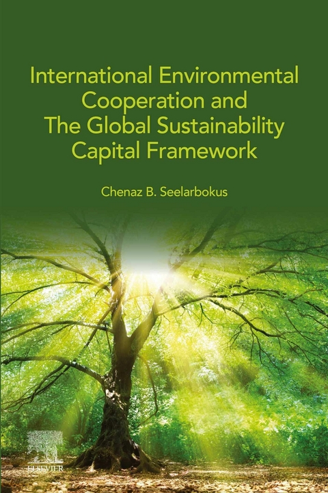 International Environmental Cooperation and The Global Sustainability Capital Framework -  Chenaz B. Seelarbokus