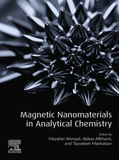 Magnetic Nanomaterials in Analytical Chemistry - 