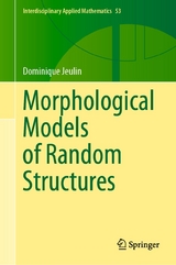 Morphological Models of Random Structures - Dominique Jeulin