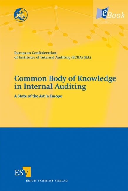 Common Body of Knowledge in Internal Auditing - 