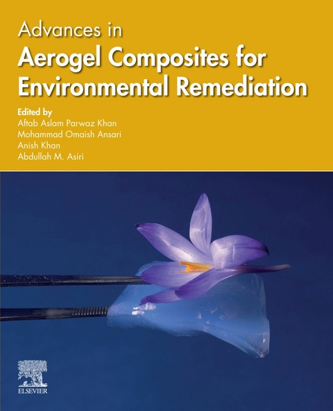 Advances in Aerogel Composites for Environmental Remediation - 