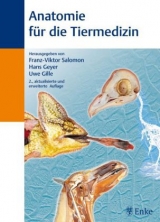 Anatomie für die Tiermedizin - Salomon, Franz-Viktor; Geyer, Hans; Gille, Uwe