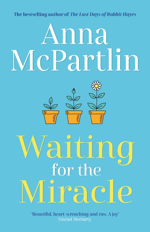 Waiting for the Miracle -  Anna McPartlin