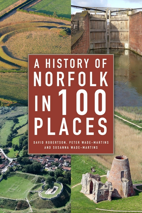 History of Norfolk in 100 Places -  David Robertson,  Peter Wade-Martins,  Susanna Wade-Martins