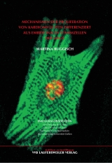 Mechanismen der Proliferation von Kardiomyozyten differenziert aus embryonalen Stammzellen der Maus - Martina Buggisch