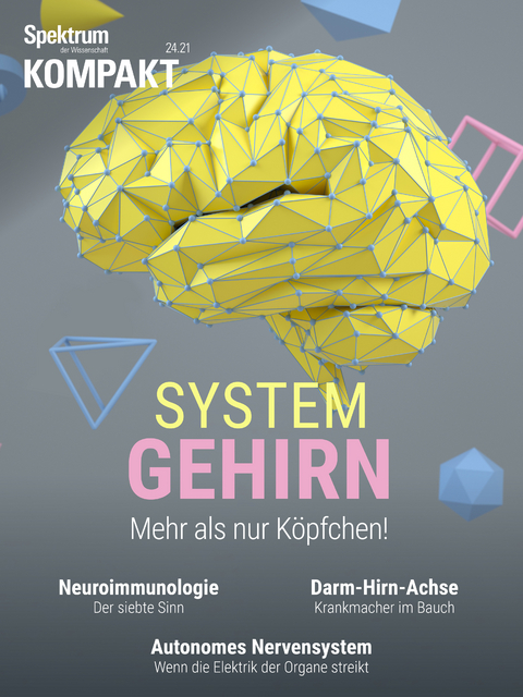 Spektrum Kompakt - System Gehirn -  Spektrum der Wissenschaft