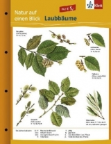 Laubbäume - 