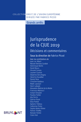 Jurisprudence de la CJUE 2019 - 