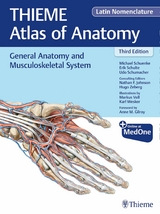 General Anatomy and Musculoskeletal System (THIEME Atlas of Anatomy), Latin Nomenclature -  Michael Schuenke,  Erik Schulte,  Udo Schumacher,  Nathan Johnson