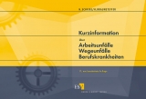 Kurzinformation über Arbeitsunfälle Wegeunfälle Berufskrankheiten - Schieke, Heinz; Braunsteffer, Heike