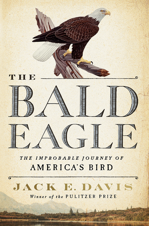 Bald Eagle -  Jack E. Davis