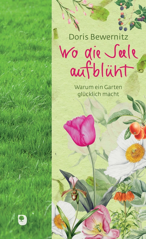 Wo die Seele aufblüht - Doris Bewernitz