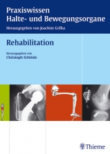 Rehabilitation - 