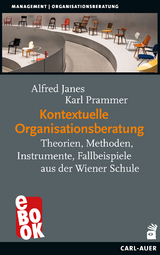 Kontextuelle Organisationsberatung - Alfred Janes, Karl Prammer