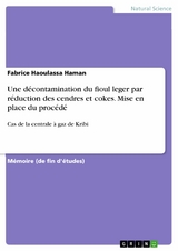 Une décontamination du fioul leger par réduction des cendres et cokes. Mise en place du procédé - Fabrice Haoulassa Haman