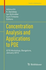 Concentration Analysis and Applications to PDE - 