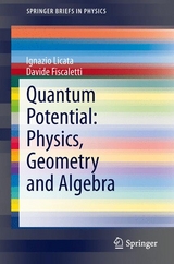 Quantum Potential: Physics, Geometry and Algebra - Ignazio Licata, Davide Fiscaletti