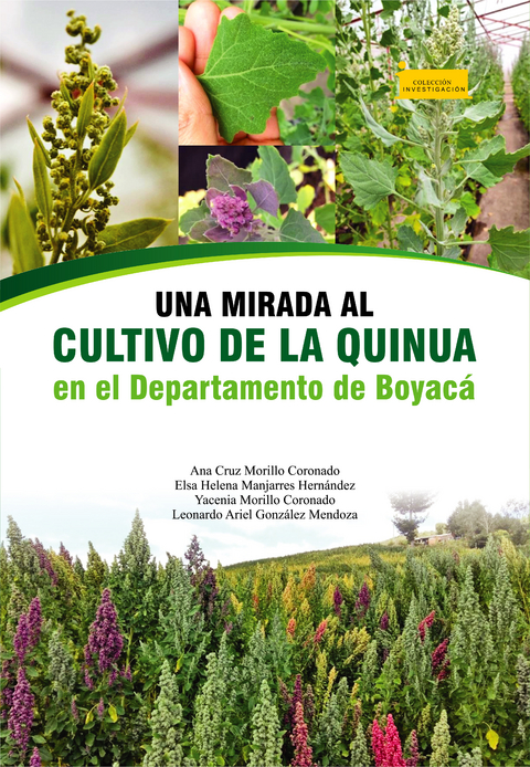 Una mirada al cultivo de la quinua en el departamento de Boyacá - Ana Cruz Morillo Coronado, Elsa Helena Manjarres Hernández, Yacenia Morillo Coronado, Leonardo Ariel González Mendoza