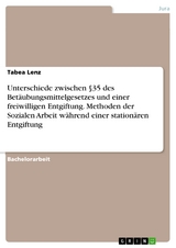 Unterschiede zwischen §35 des Betäubungsmittelgesetzes und einer freiwilligen Entgiftung. Methoden der Sozialen Arbeit während einer stationären Entgiftung - Tabea Lenz