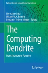 The Computing Dendrite - 