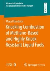 Knocking Combustion of Methane-Based and Highly Knock Resistant Liquid Fuels - Marcel Eberbach