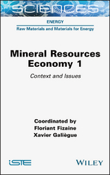 Mineral Resources Economy 1 - Floriant Fizaine, Xavier Galiegue