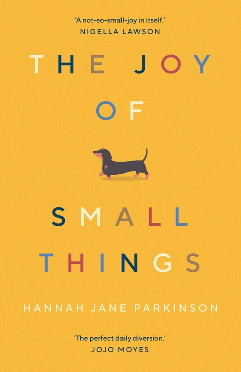 Joy of Small Things -  Hannah Jane Parkinson