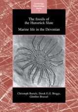 The Fossils of the Hunsrück Slate - Bartels, Christoph; Briggs, Derek E. G.; Brassel, G