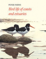 Bird Life of Coasts and Estuaries - Ferns, P. N.