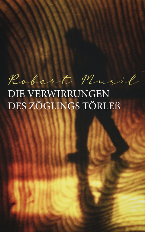 Die Verwirrungen des Zöglings Törleß - Robert Musil