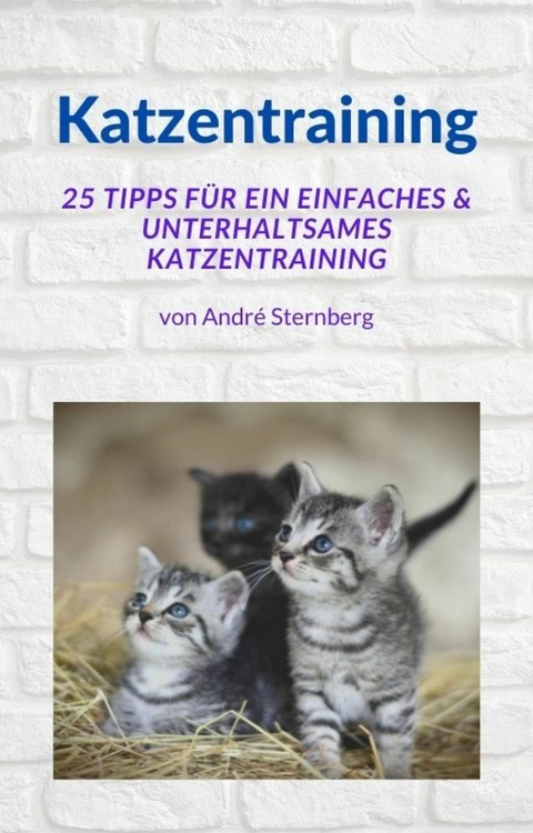 Katzentraining - Andre Sternberg