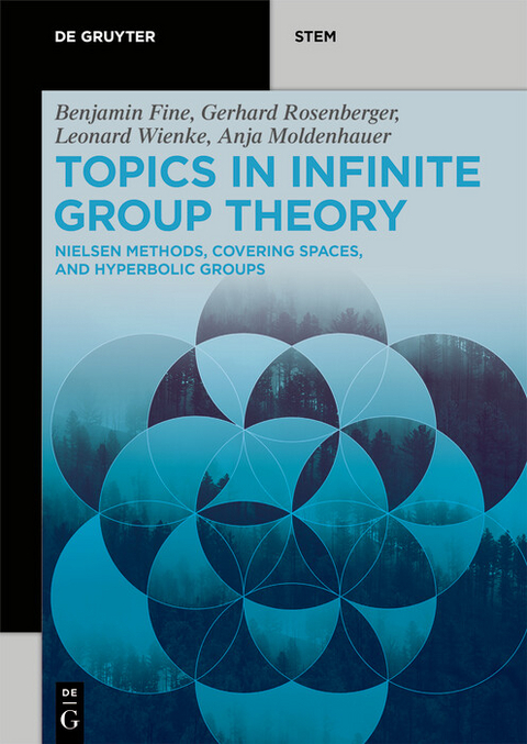 Topics in Infinite Group Theory - Benjamin Fine, Anja Moldenhauer, Gerhard Rosenberger, Leonard Wienke