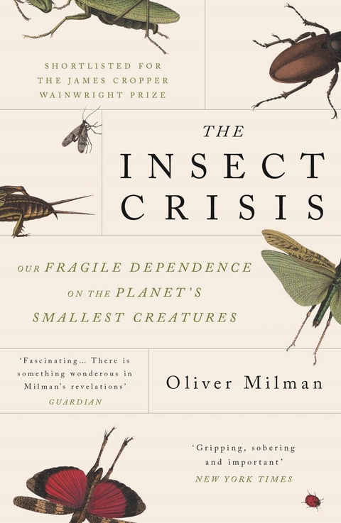 The Insect Crisis - Oliver Milman