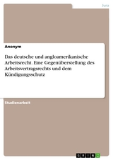 Das deutsche und angloamerikanische Arbeitsrecht. Eine Gegenüberstellung des Arbeitsvertragsrechts und dem Kündigungsschutz