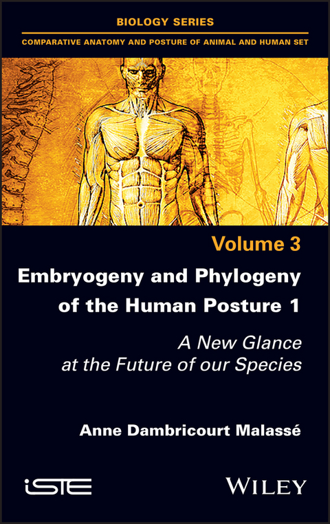 Embryogeny and Phylogeny of the Human Posture 1 - Anne Dambricourt Malasse