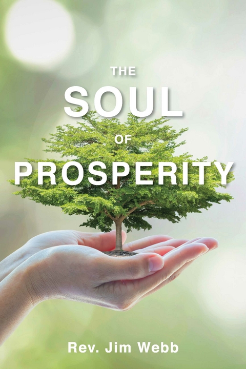 Soul of Prosperity -  Rev. Jim Webb