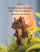 Eichhörnchen im Garten / Squirrels in my garden - Mario Porten