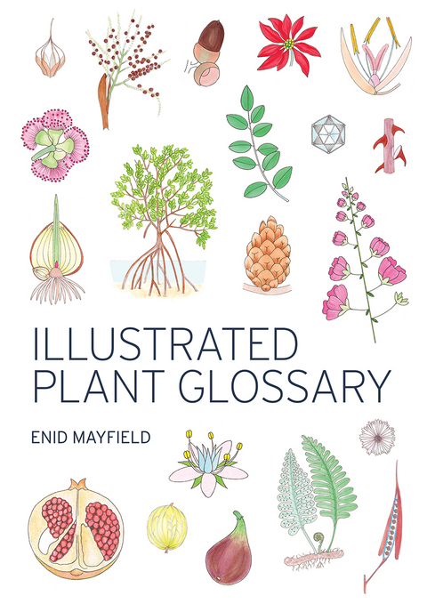 Illustrated Plant Glossary -  Enid Mayfield