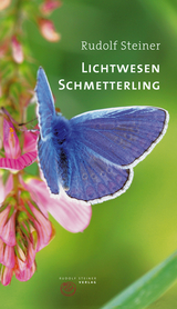 Lichtwesen Schmetterling - Rudolf Steiner