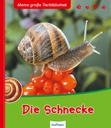 Meine große Tierbibliothek: Die Schnecke - Starosta, Paul