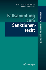 Fallsammlung zum Sanktionenrecht - Bernd-Dieter Meier, Sarah Noetzel