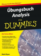 Übungsbuch Analysis für Dummies - Mark Ryan