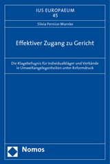 Effektiver Zugang zu Gericht - Silvia Pernice-Warnke