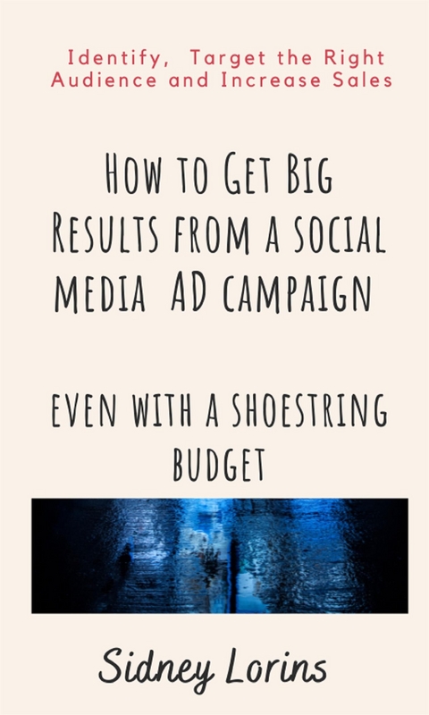 How to Get Big Result from a Social Media AD Campaign Even with a Shoestring Budget. - Lorins Sidney