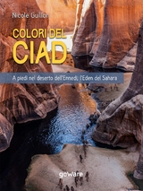 Colori del Ciad. A piedi nel deserto dell’Ennedi, l’Eden del Sahara - Nicole Guillon