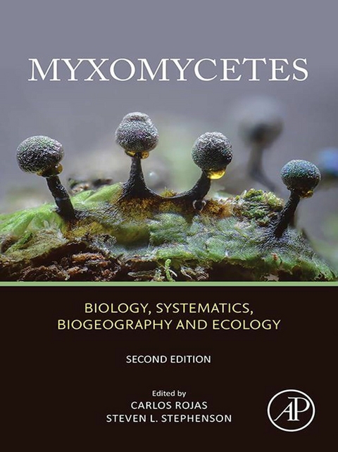 Myxomycetes - 